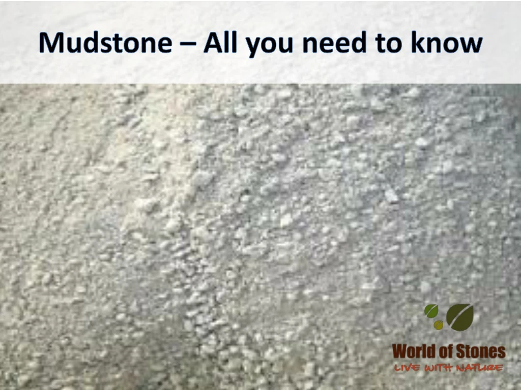 mudstone all you need to know