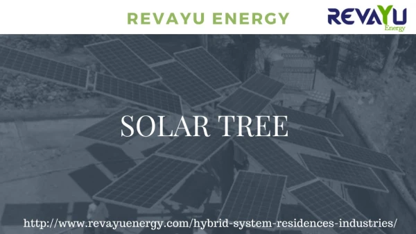 Solar Tree - Revayu Energy