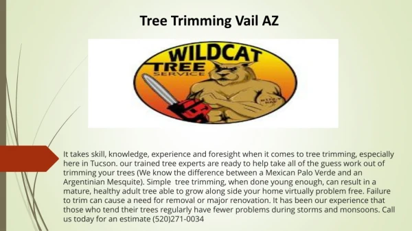 Tree Trimming Vail AZ