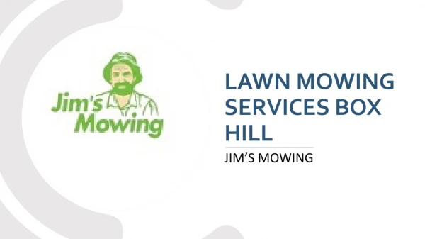 Best Lawn Mowing Services Box Hill