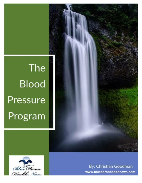 Christian Goodman: The Blood Pressure Program PDF: Blue Heron Health News