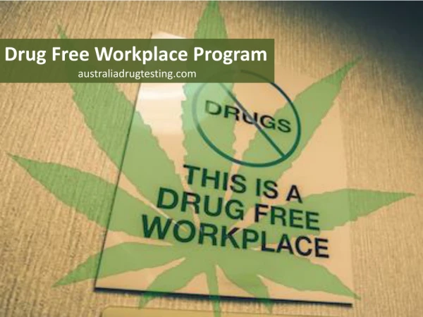 Drug Free Workplace Program
