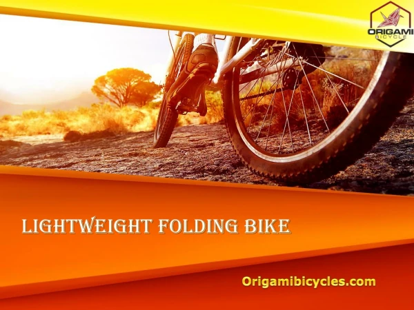 Lightweight Folding Bike