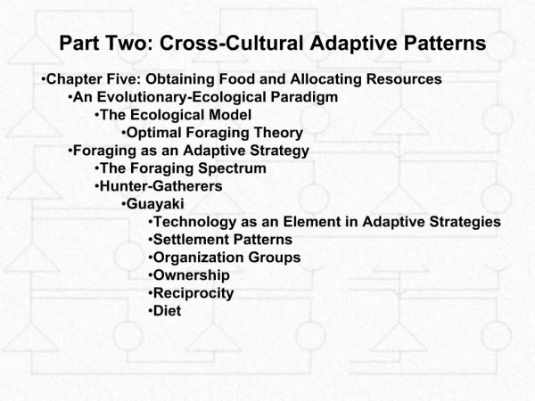 Part Two: Cross-Cultural Adaptive Patterns