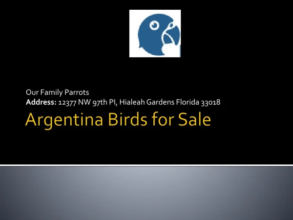 Argentina Birds For Sale - Our Family Parrots