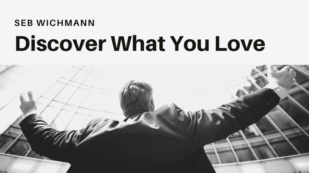 seb wichmann discover what you love