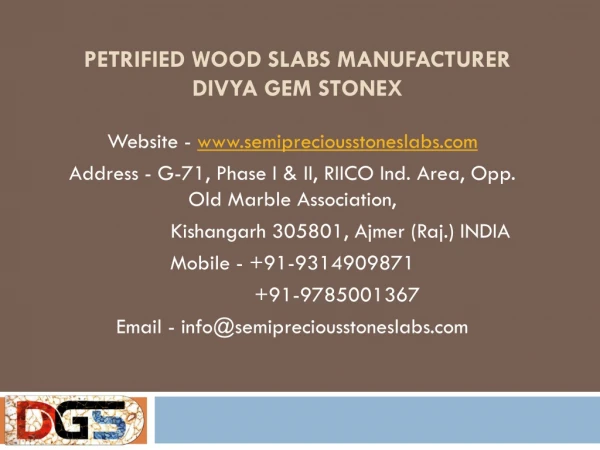 Petrified Wood Slabs Manufacturer Divya Gem Stonex