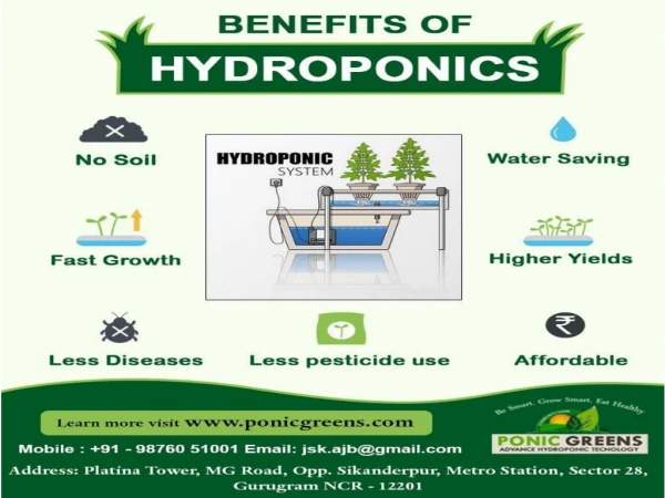Hydroponics In India | Ponicgreens | Hydroponic In India