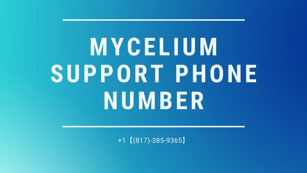 mycelium support phone number