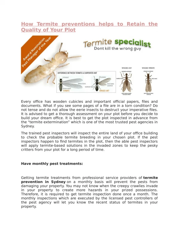 How Termite preventions helps to Retain the Quality of Your Plot
