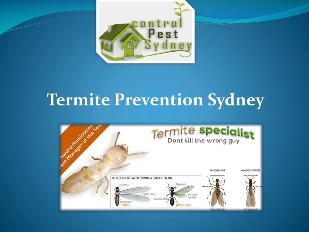 termite prevention sydney