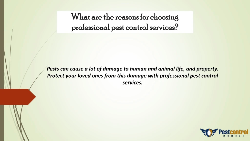 what are the reasons for choosing professional pest control services