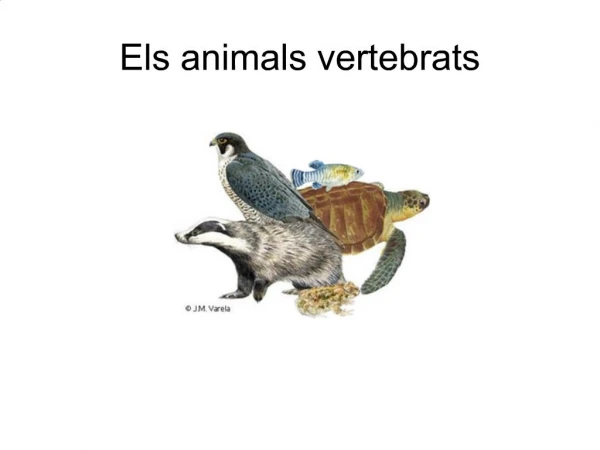 Els animals vertebrats