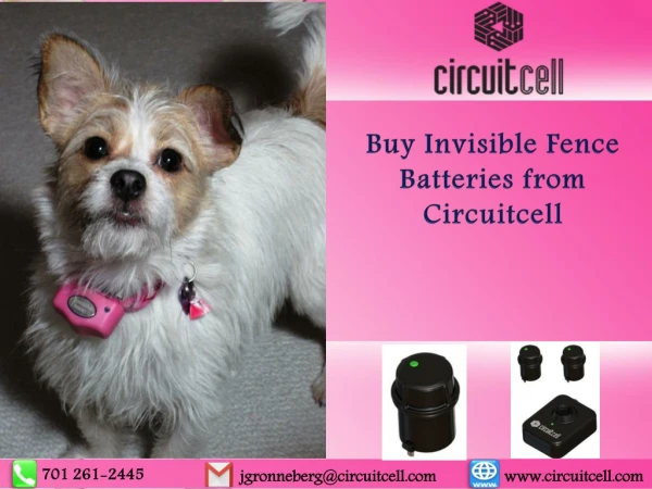 Buy Invisible Fence Batteries from Circuitcell