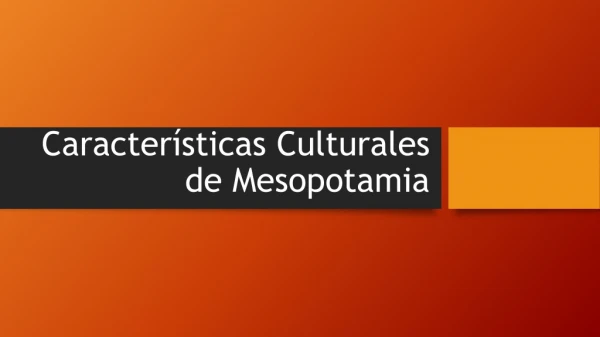 caracteristicas culturales de Mesopotamia