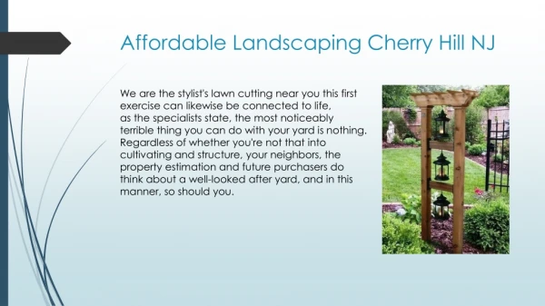 Professional Landscaping Cherry Hill NJ