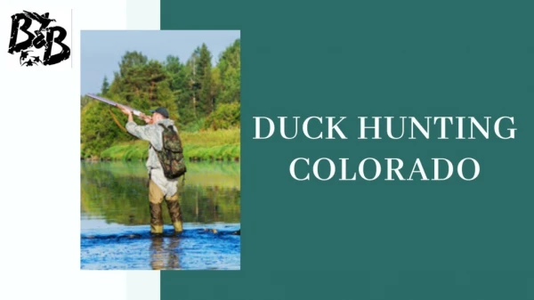 Duck Hunting Colorado