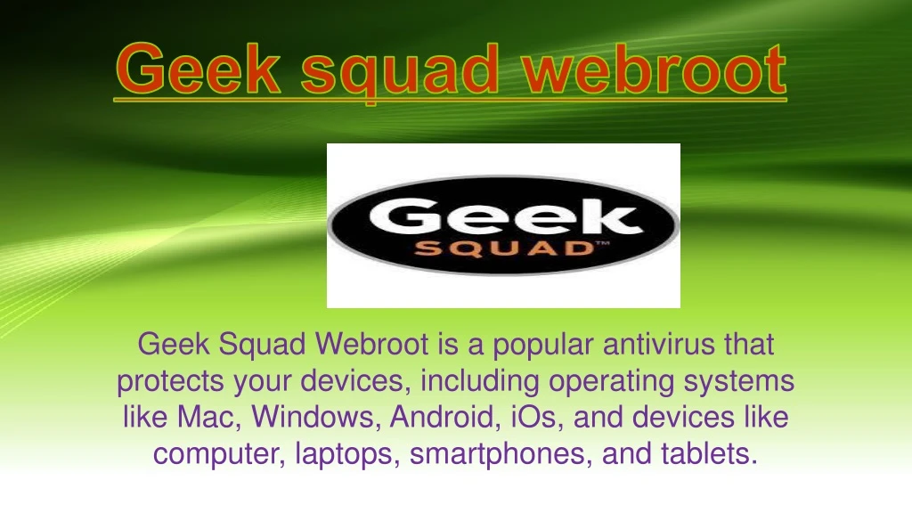 geek squad webroot