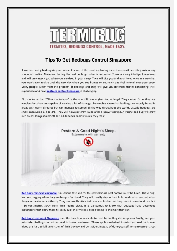 Bedbugs Treatment Singapore