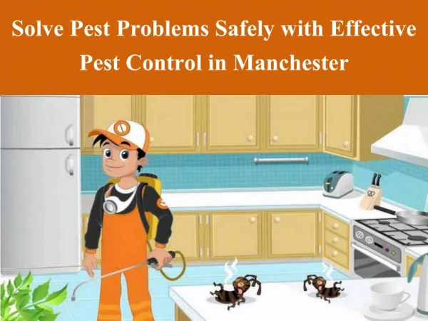 Solve Pest Problems Safely with Effective Pest Control in Manchester