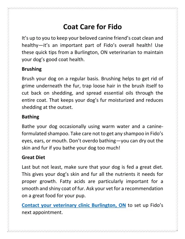 Coat Care for Fido