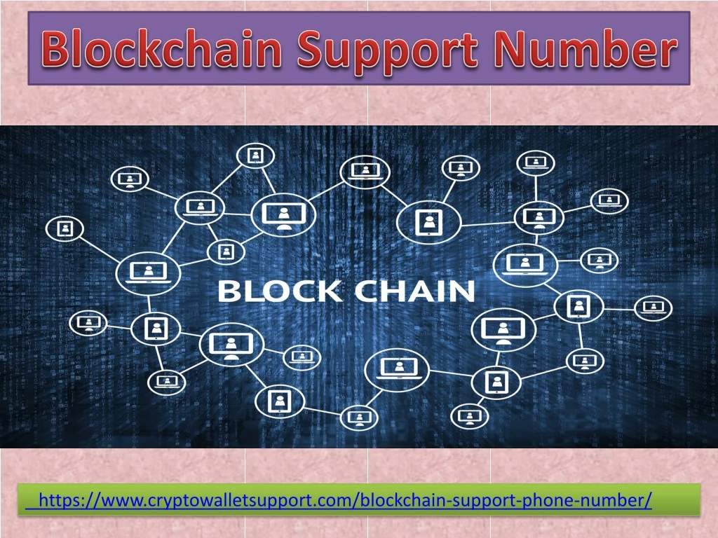 blockchain s upport number