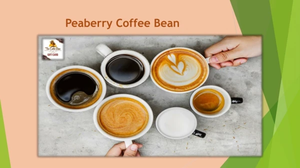 Peaberry Coffee Bean