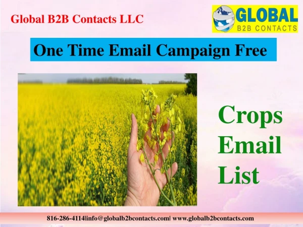 global b2b contacts llc