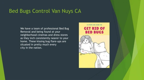 Bed Bugs Control Companies Van Nuys CA
