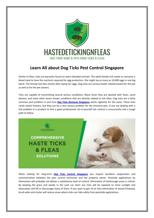 Dog Ticks Treatment Singapore