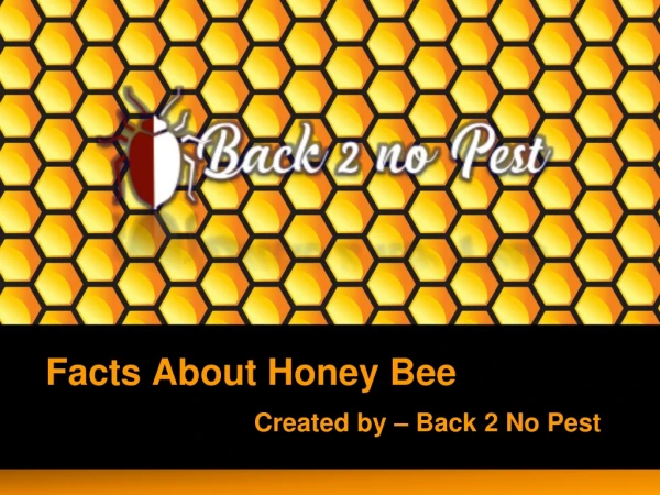 Interesting Facts About Honey Bee