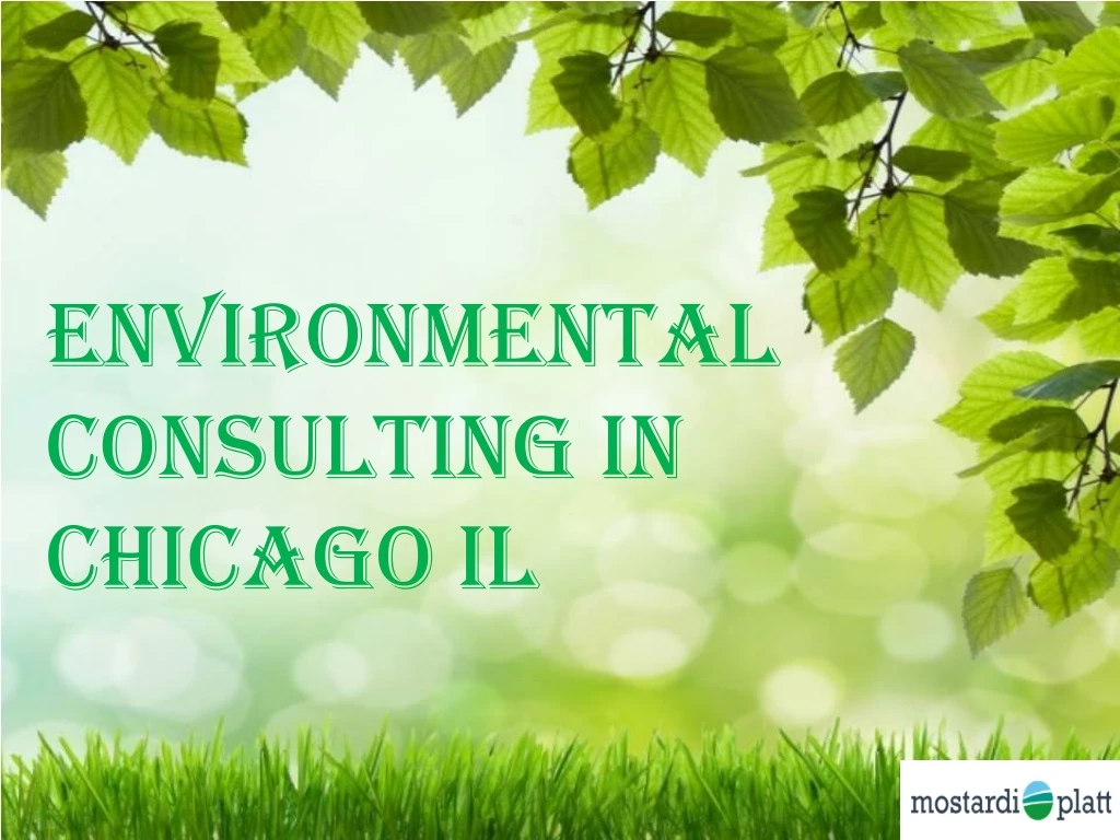 environmental consulting in chicago il chicago il
