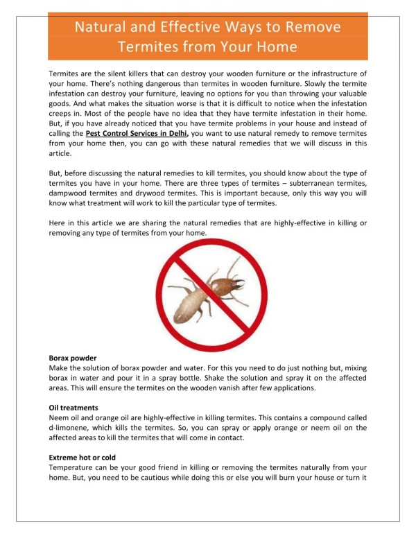 Natural and Effective Ways to Remove Termites from Your Home