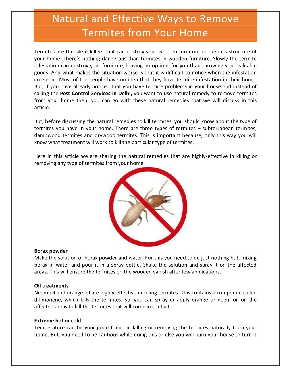 natural and effective ways to remove termites
