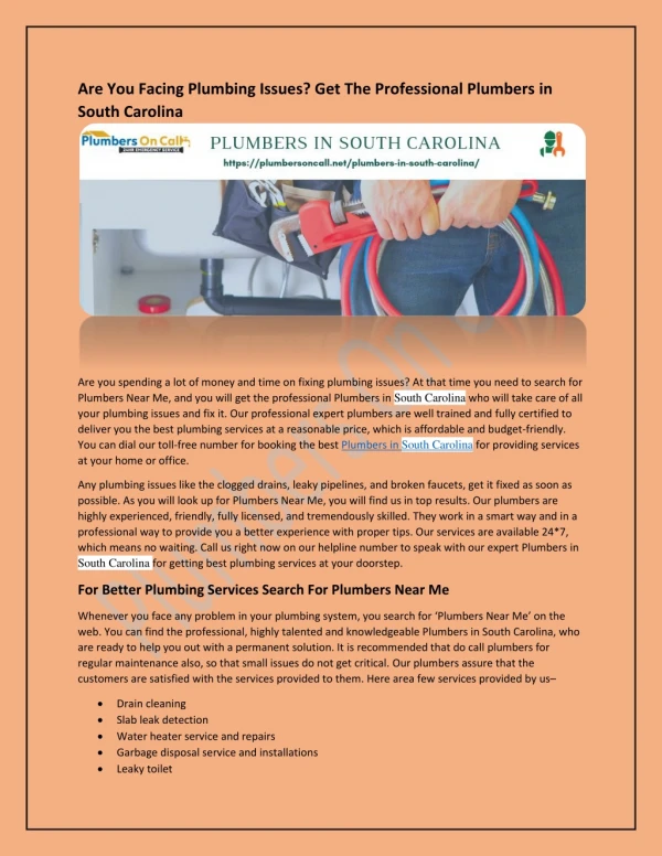 Are You Facing Plumbing Issues? Get The Professional Plumbers in South Carolina