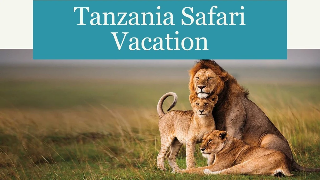 tanzania safari vacation