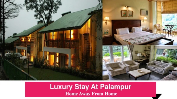 Luxury Stay At Palampur
