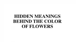 hidden meanings of flowers with colors
