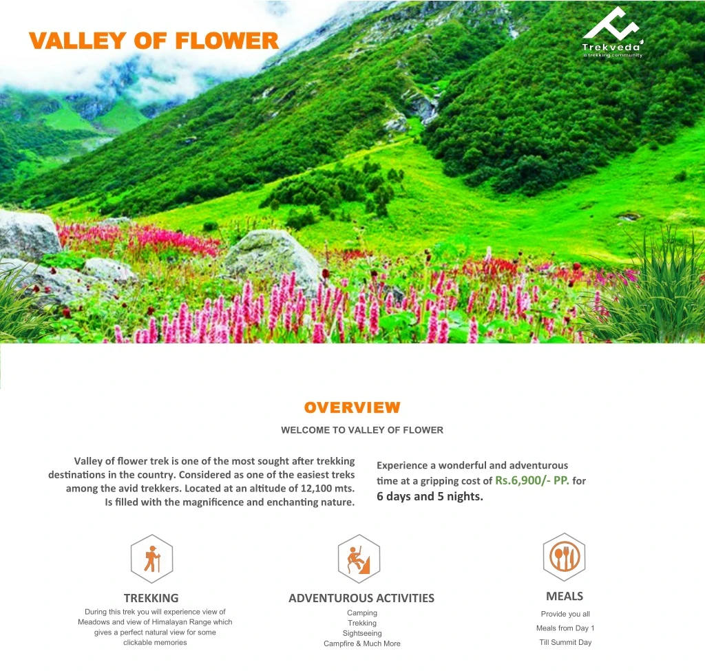 valley of flower valley of flower
