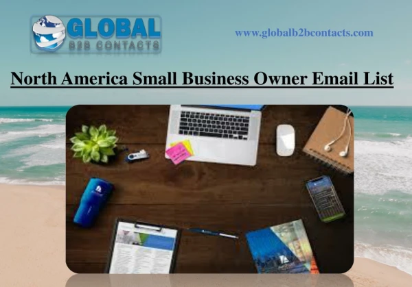 North America Small Business Owner Email List