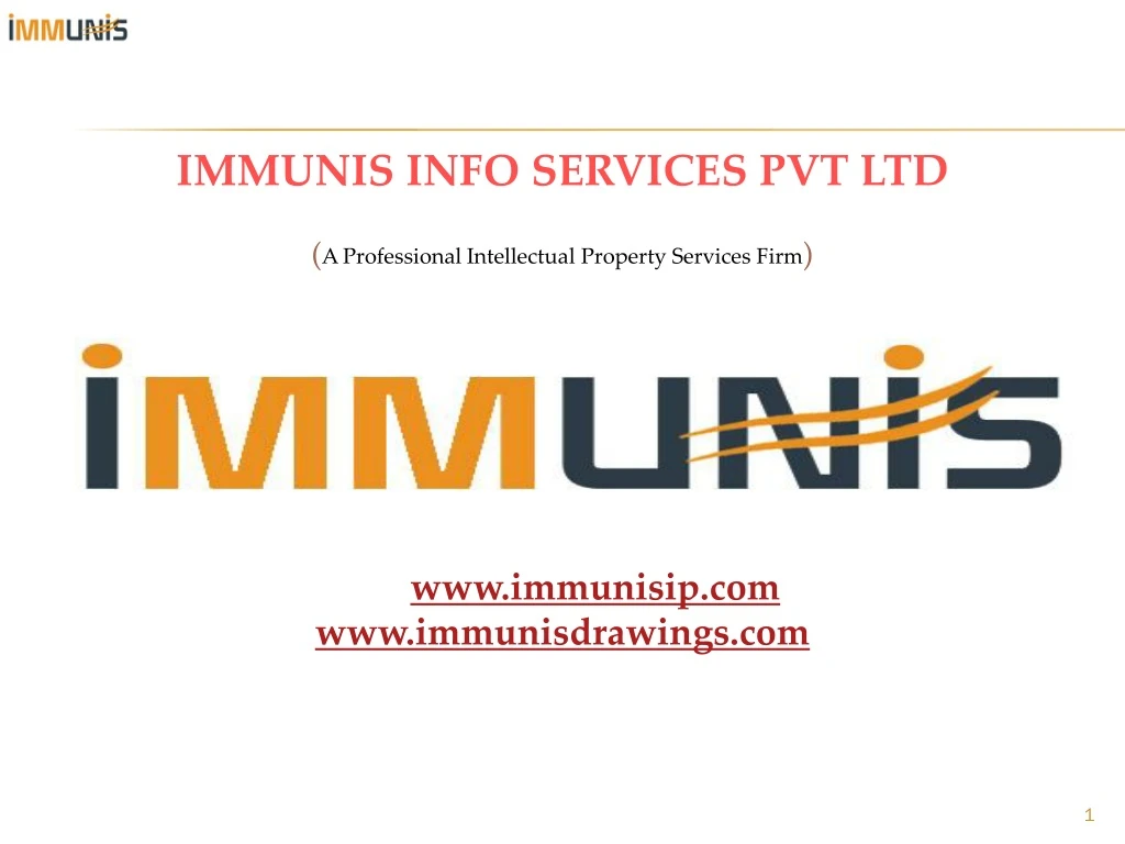 immunis info services pvt ltd a professional