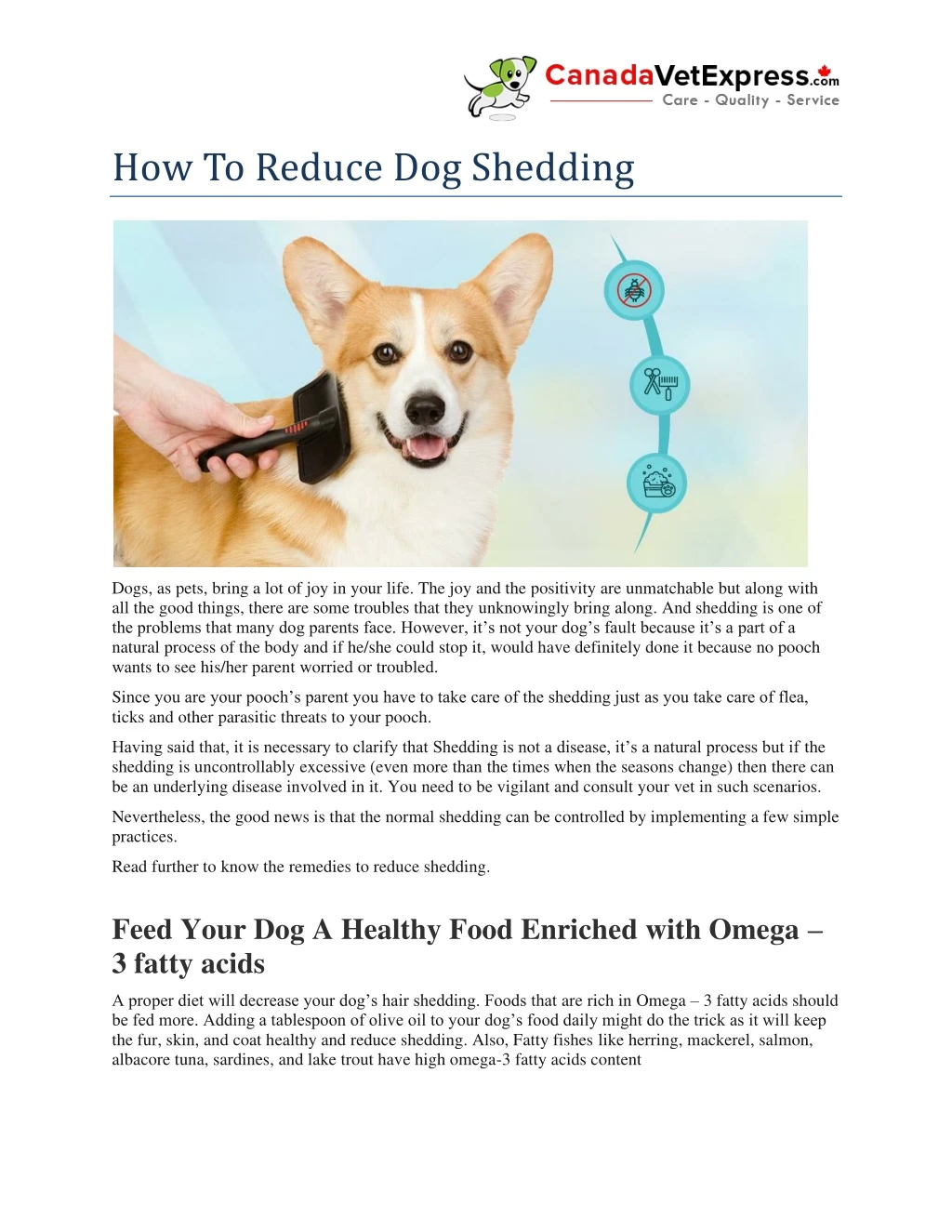 how to reduce dog shedding