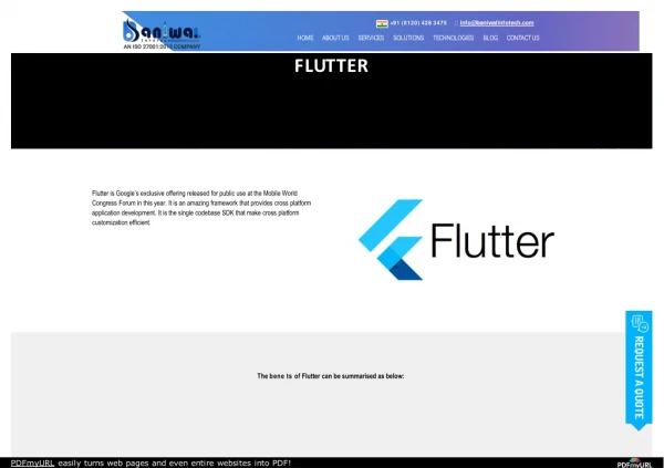 Flutter Application Development Company | Baniwal Infotech