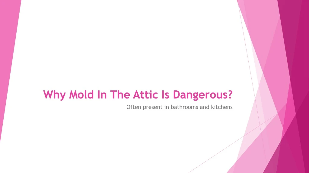 why mold in the attic is dangerous