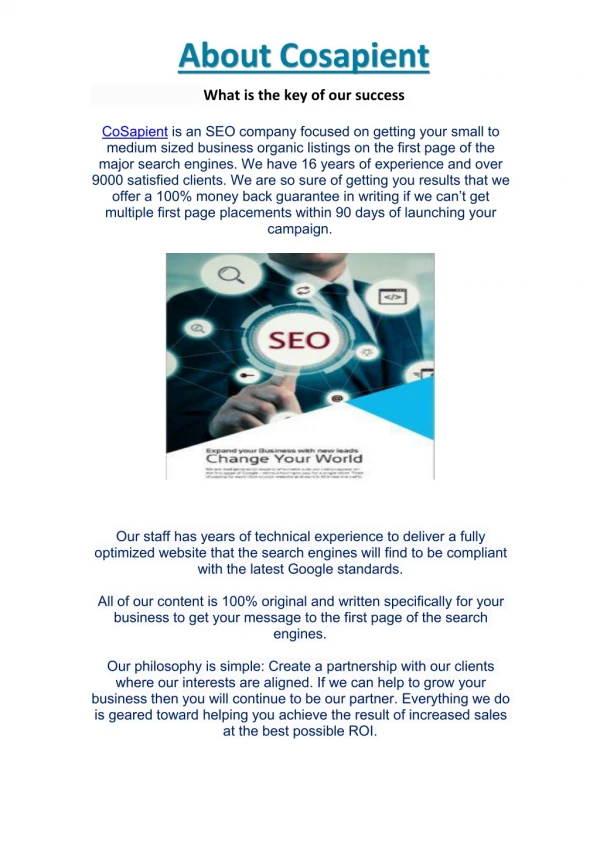 Search Engine Marketing Firm