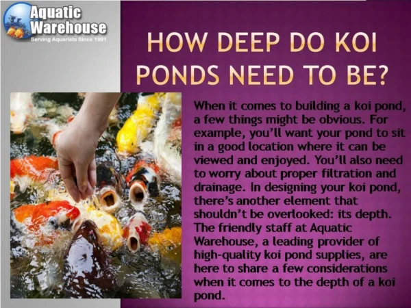 How Deep Do Koi Ponds Need to Be?