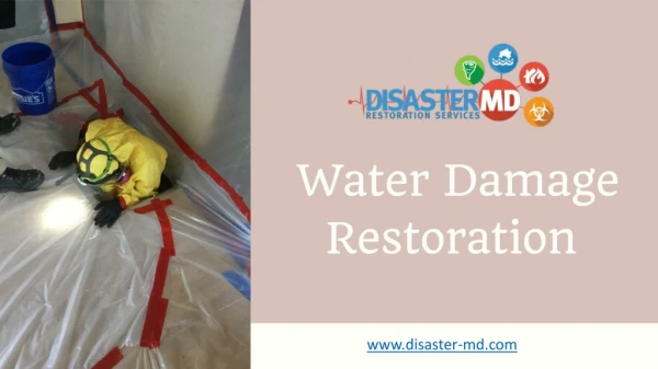 www disaster md com