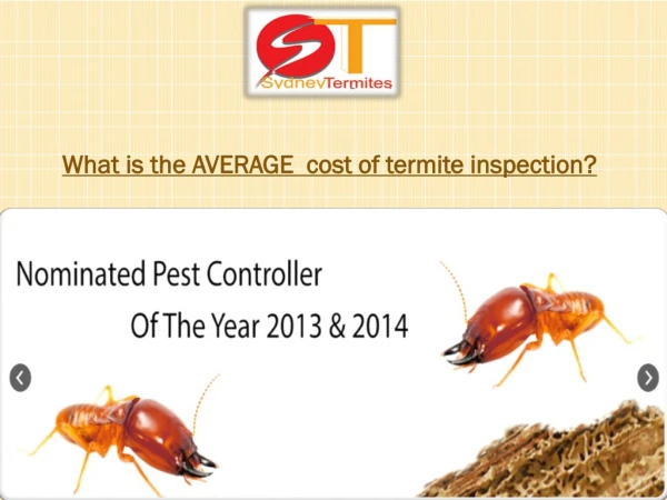 What is the AVERAGE cost of termite inspection?