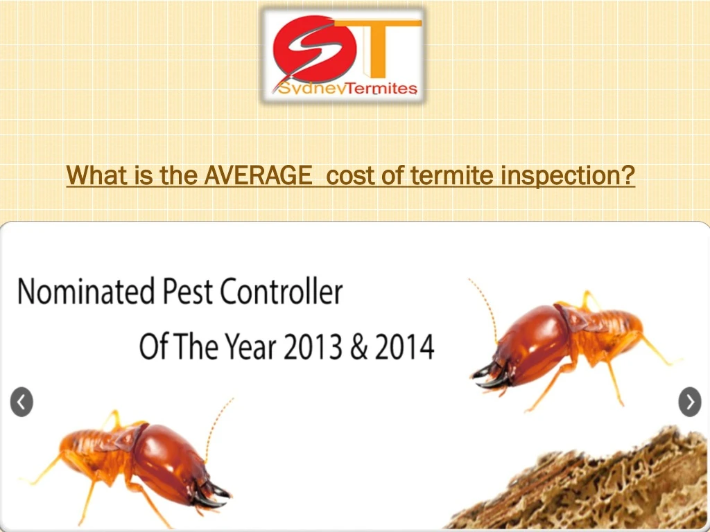 what is the average cost of termite inspection