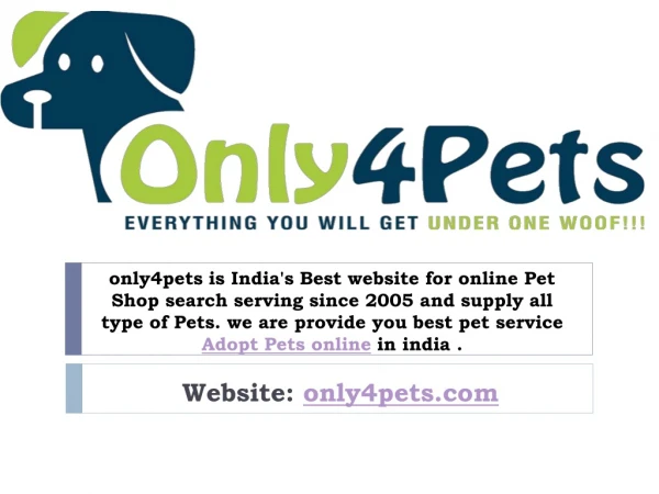 Buy pet online in india